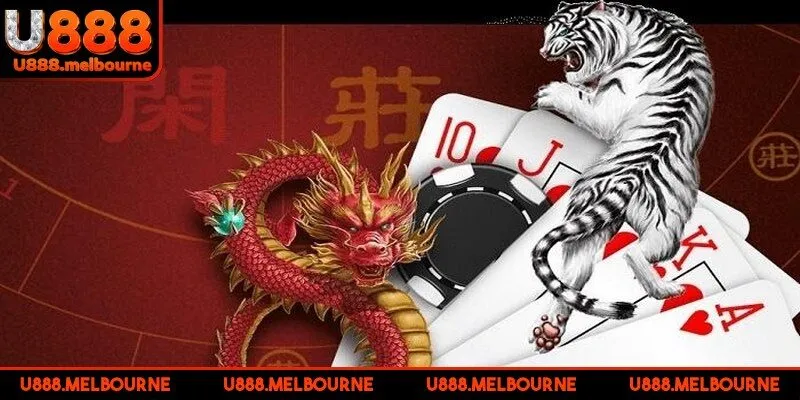 Tính toán xác suất trước khi đưa ra quyết định rất quan trọng